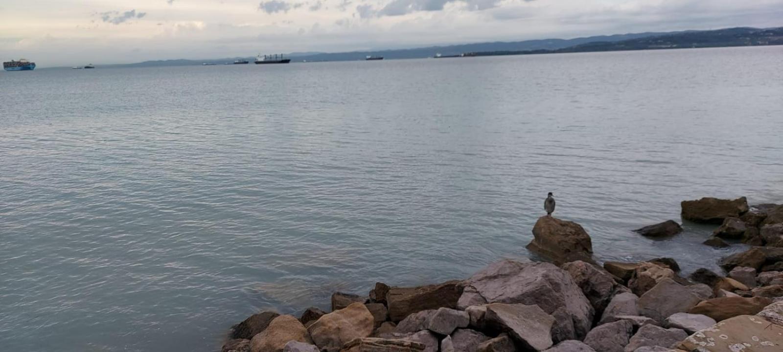 Holiday Apartment Marino Portoroz Luaran gambar